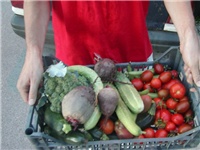 bf333347-paradajzi razni.jpg